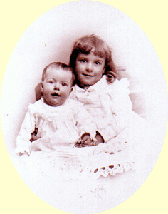 netamidgeoval.gif (39721 bytes)