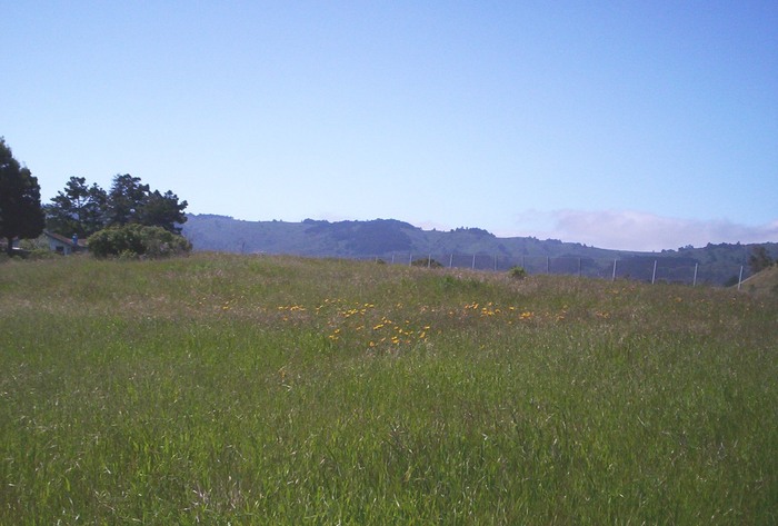 San Mateo County Poorfarm Cemetery - Present site