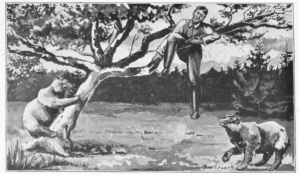 image of Pursued by the Grizzlies