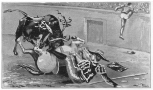 image of The Bull Fight